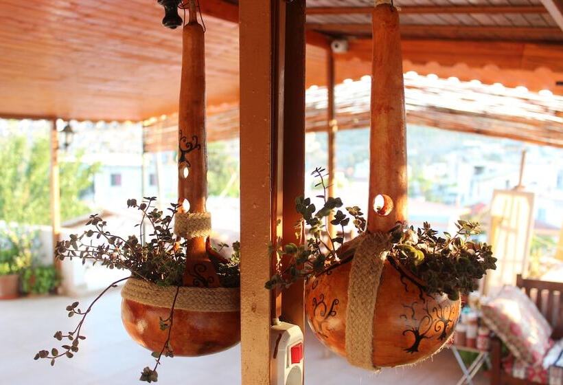 ホテル Zeybek 2 Pension & Apart