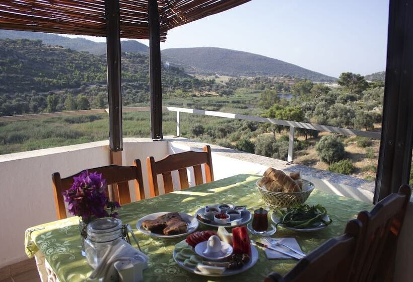 ホテル Zeybek 2 Pension & Apart