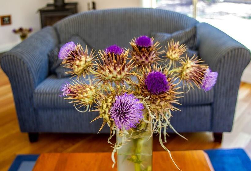 Lochnagar Barossa   Adults Only