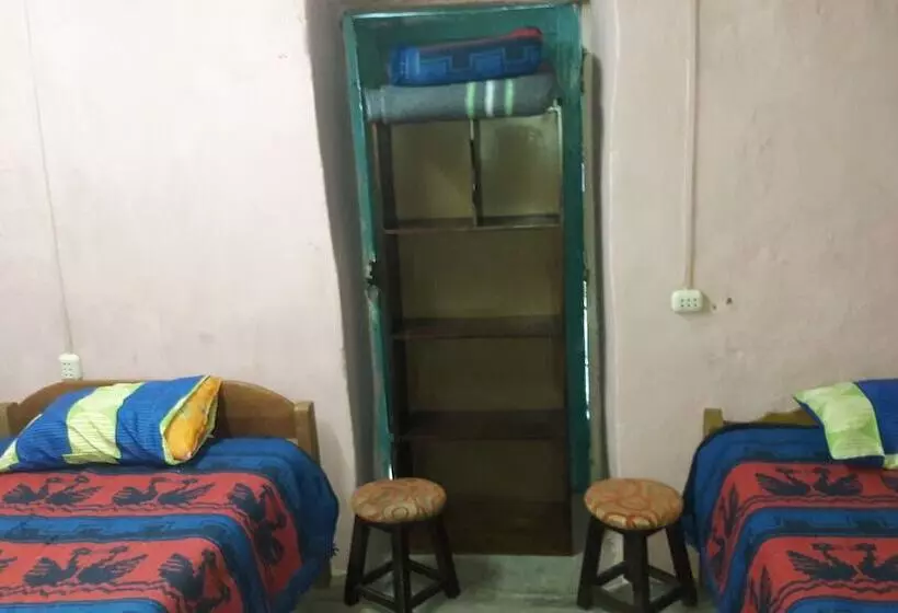Qori Inn B&b   Hostel