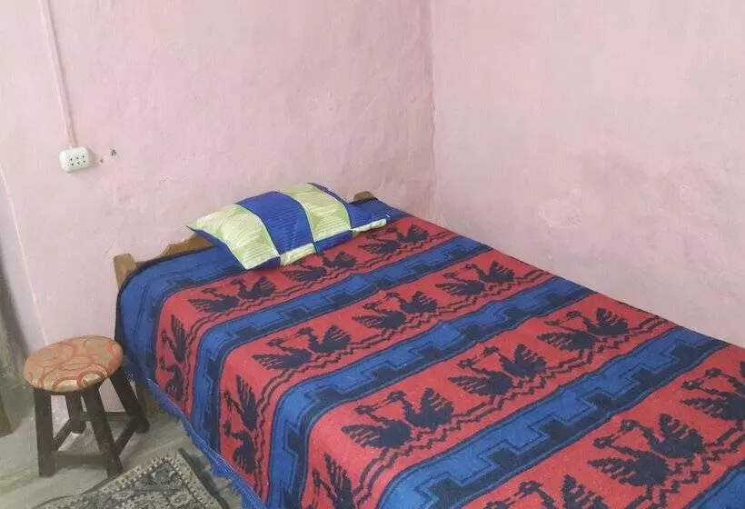 Qori Inn B&b   Hostel