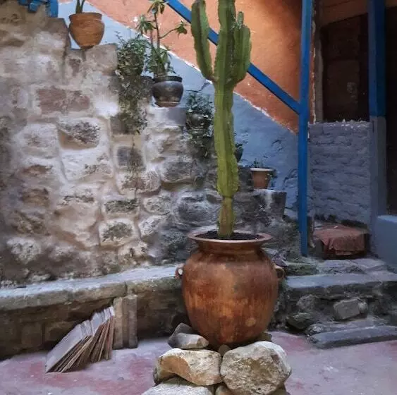 Qori Inn B&b   Hostel