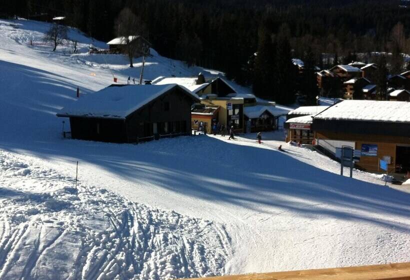 住所 L'eden Skis Aux Pieds