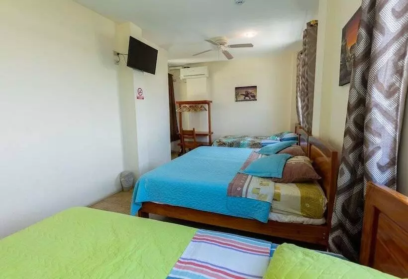 Aamiaismajoitus (B&B) Ariana´s Galapagos Hostal