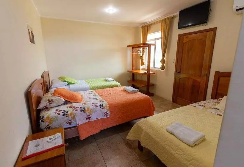 Aamiaismajoitus (B&B) Ariana´s Galapagos Hostal