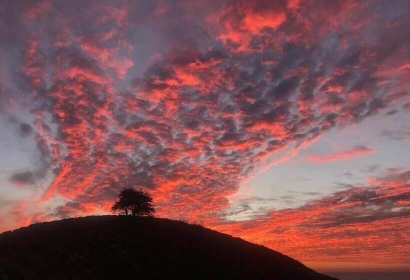 Bed & Breakfast Casa Wilson