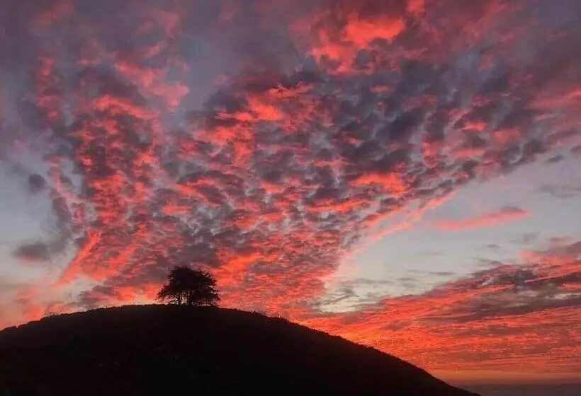 Aamiaismajoitus (B&B) Casa Wilson