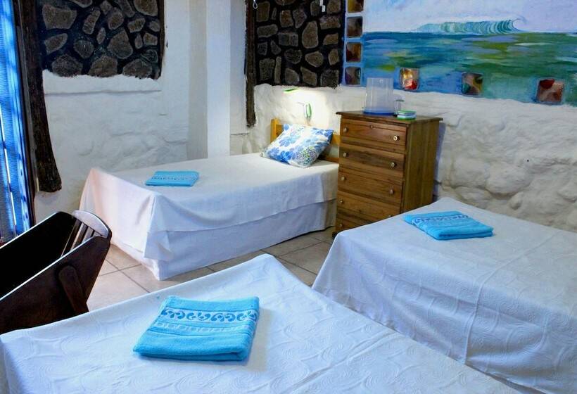 Galapagos Penguin Hostel