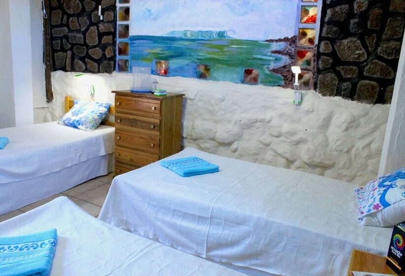 Galapagos Penguin Hostel