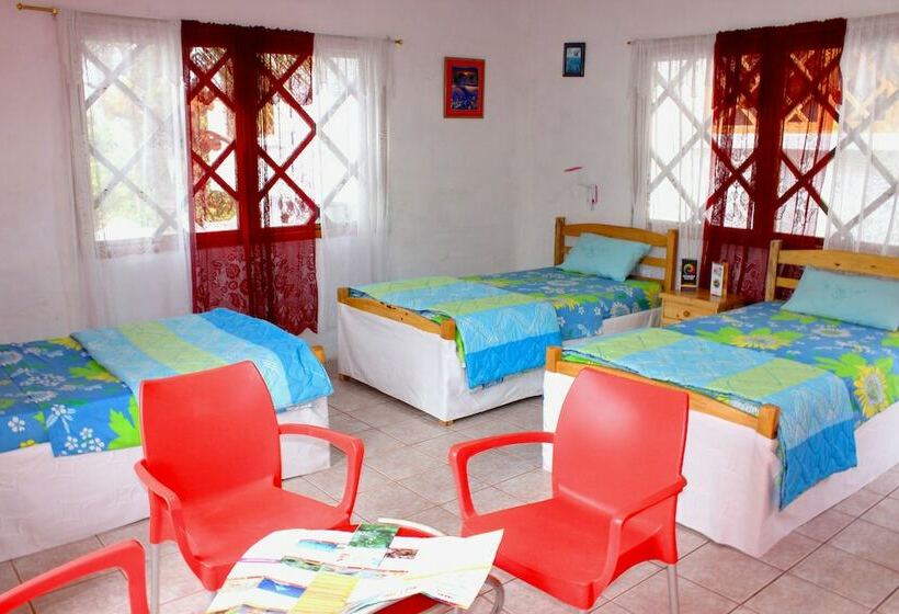 Galapagos Penguin Hostel