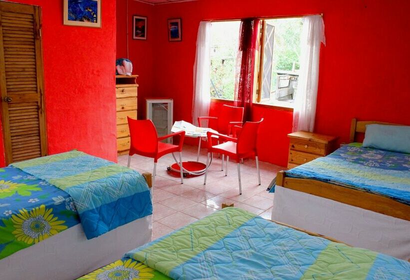 Galapagos Penguin Hostel