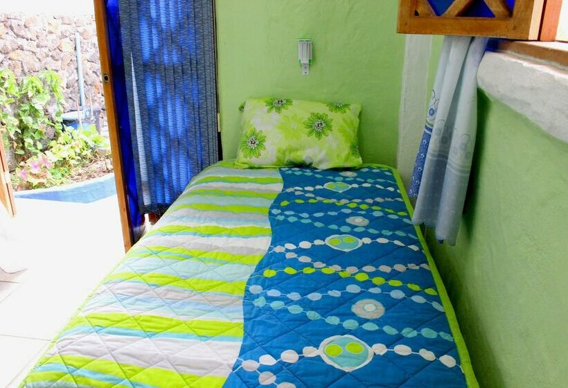 Galapagos Penguin Hostel