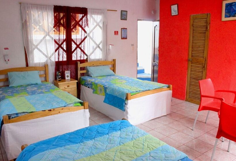 Galapagos Penguin Hostel