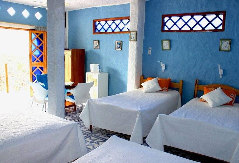 Galapagos Penguin Hostel