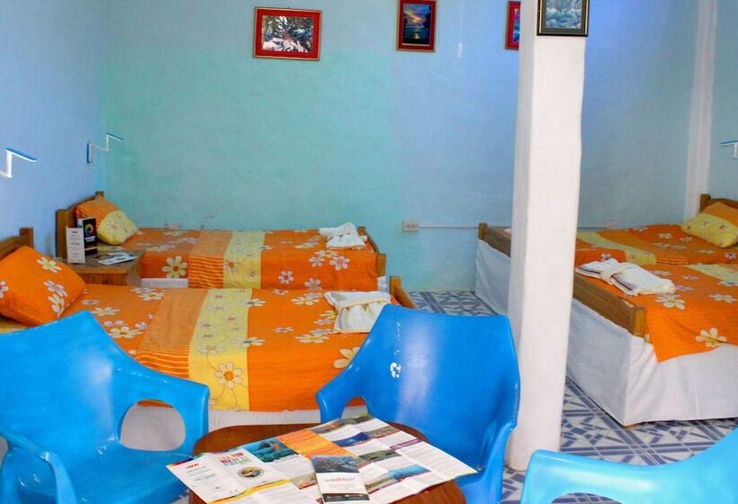 Galapagos Penguin Hostel