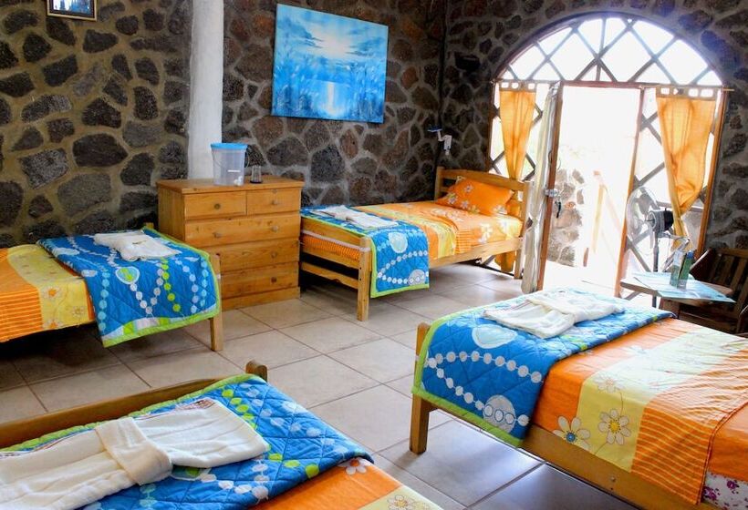 Galapagos Penguin Hostel