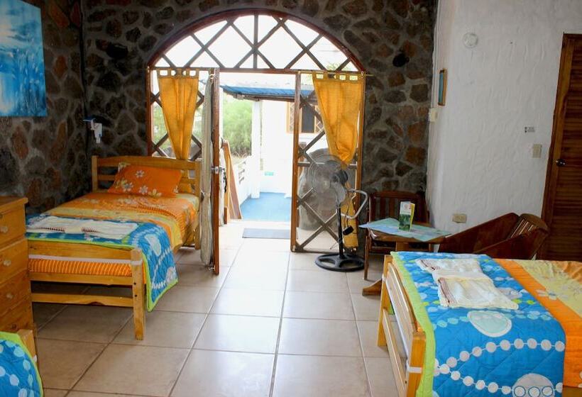 Galapagos Penguin Hostel