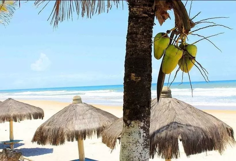 簡易ホテル Pousada Ilha Do Desejo