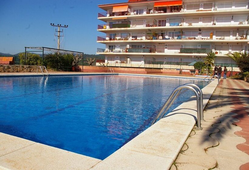 فندق Apartamento Pau Picasso