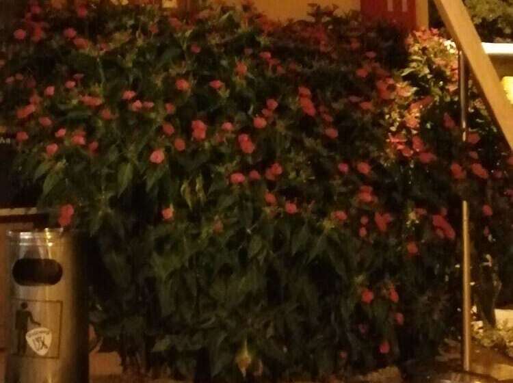 ホテル Hôtel Du Col De Crous