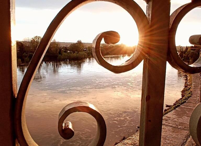 Отель Restaurant Côte Garonne Le Balcon Des Dames Tonneins Marmande Agen Chambres Climatisées
