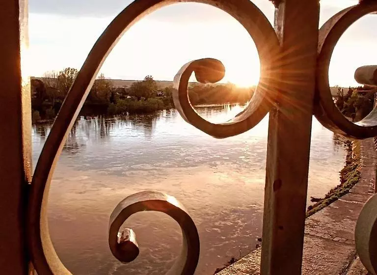 ホテル Restaurant Côte Garonne Le Balcon Des Dames   Tonneins Marmande Agen   Chambres Climatisées