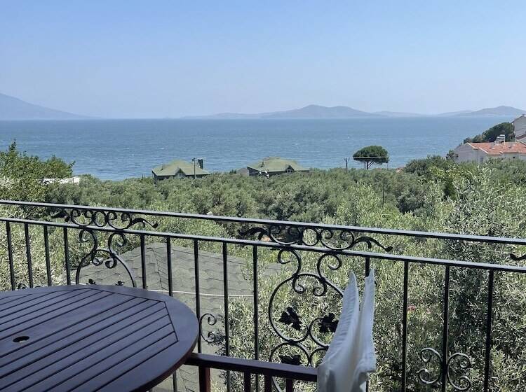 ホテル Marmara Zeytin