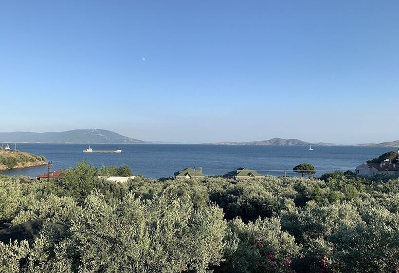 ホテル Marmara Zeytin