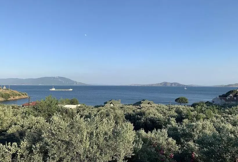 ホテル Marmara Zeytin