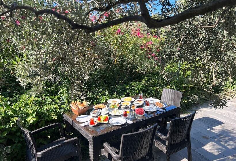 ホテル Marmara Zeytin