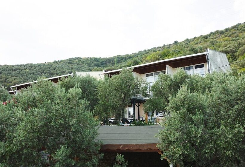 ホテル Marmara Zeytin