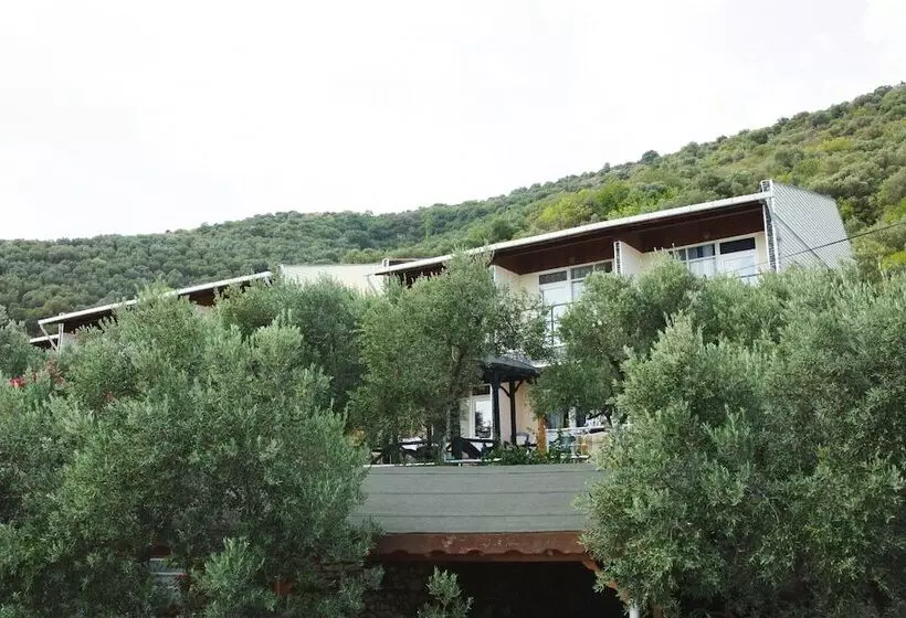 ホテル Marmara Zeytin