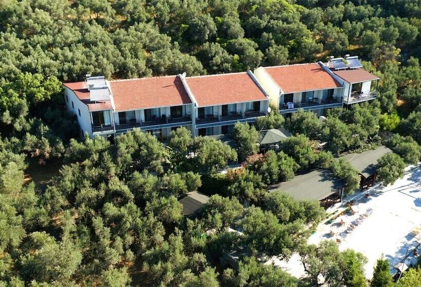 ホテル Marmara Zeytin