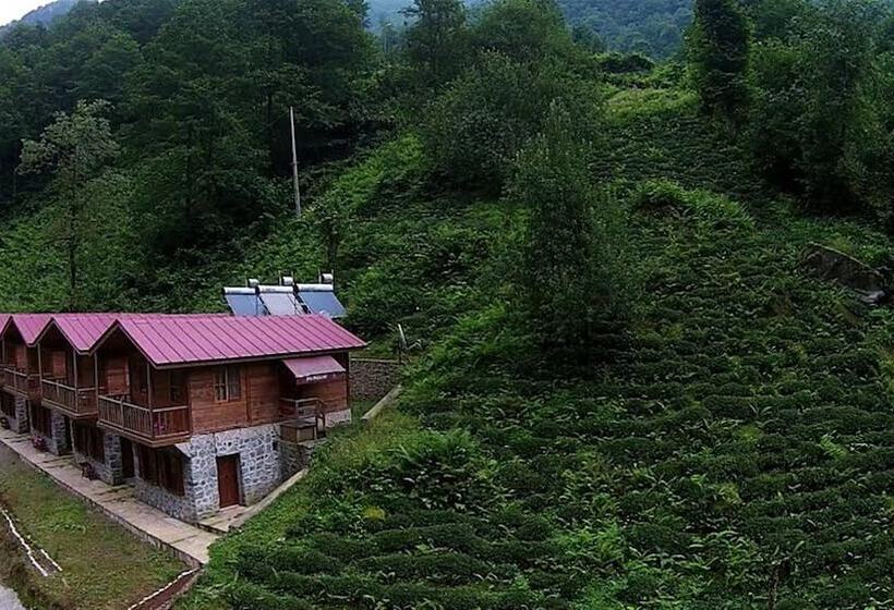 Hotel Mencuna Konaklari