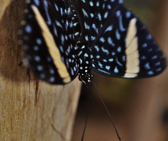 酒店 Pedacito De Cielo Ecologe