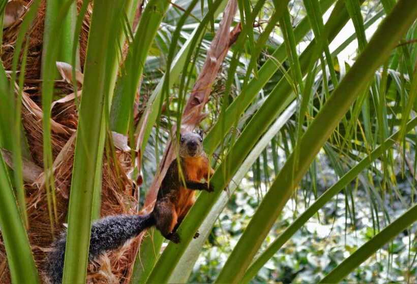 酒店 Pedacito De Cielo Ecologe