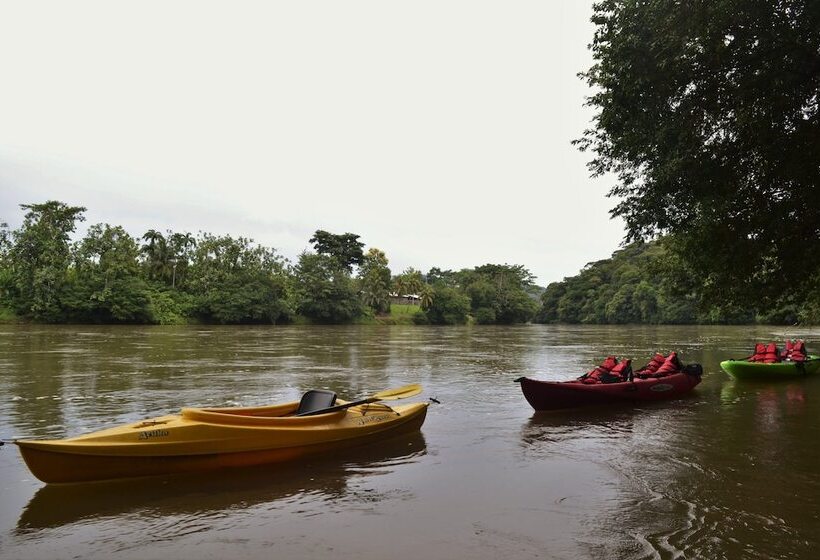 酒店 Pedacito De Cielo Ecologe