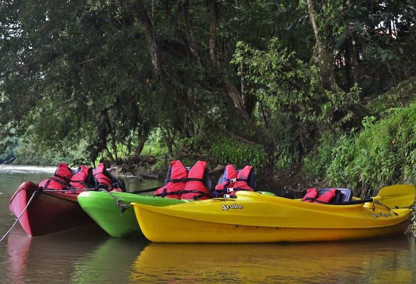 酒店 Pedacito De Cielo Ecologe