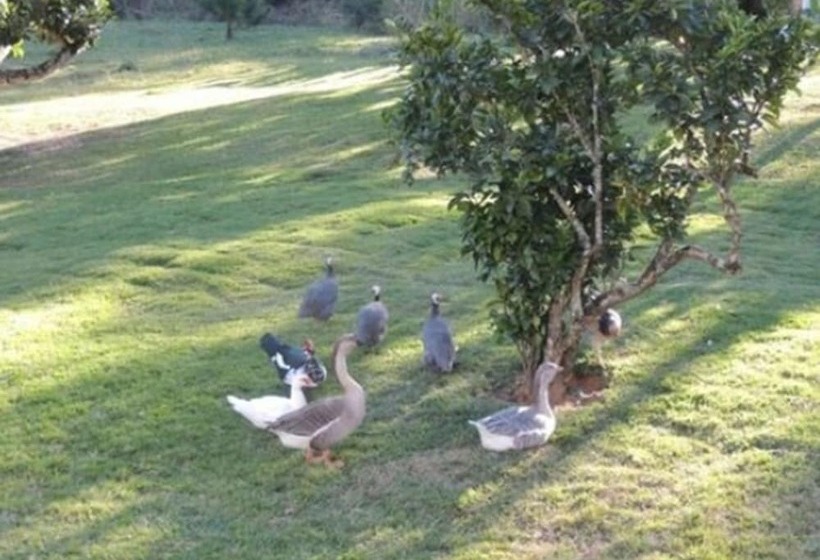 田舎風ホテル Angico Hotel Fazenda