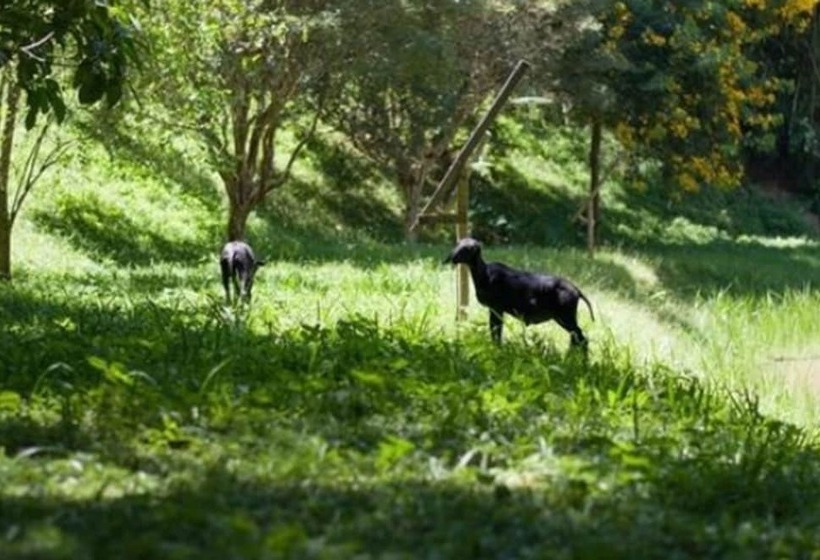 田舎風ホテル Angico Hotel Fazenda
