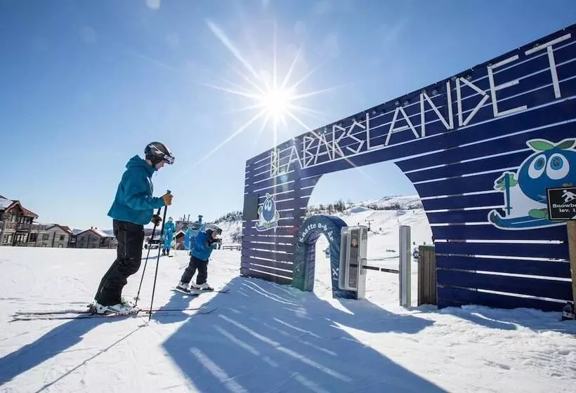 ホテル Ski Lodge Tänndalen