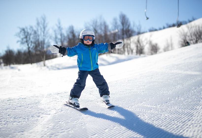Отель Ski Lodge Tänndalen