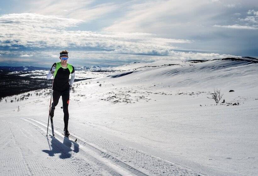 Отель Ski Lodge Tänndalen