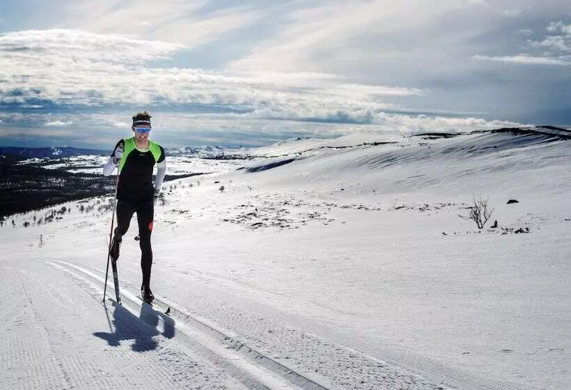 ホテル Ski Lodge Tänndalen