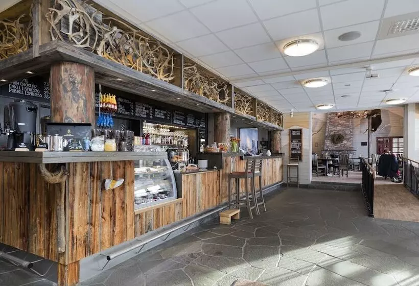 ホテル Ski Lodge Tänndalen