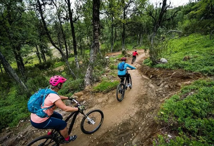 ホテル Ski Lodge Tänndalen