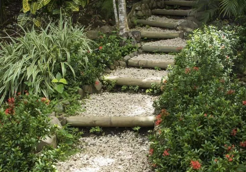 Hotelli Sunshine Sanctuary