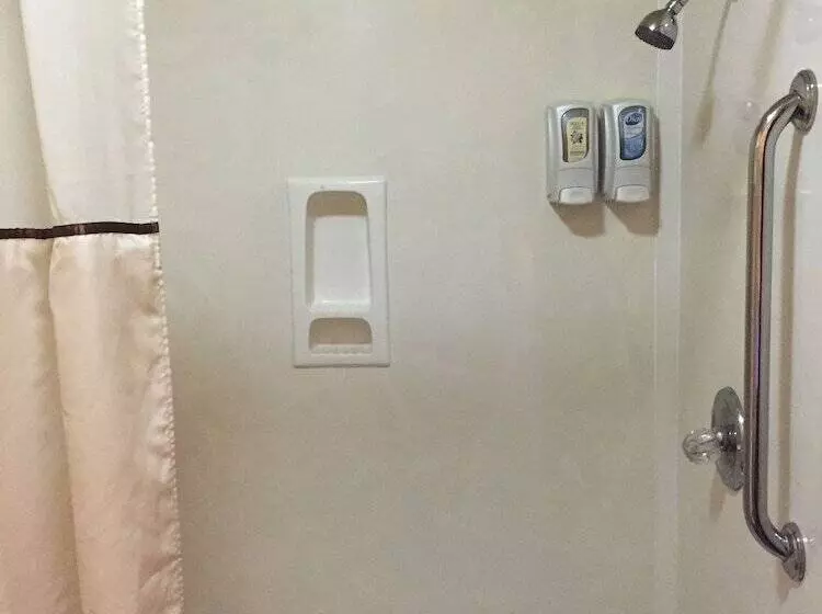 Motelli Royal Inn Pearsall