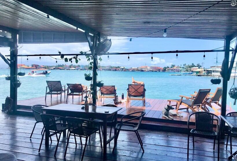 پانسیون Casa Acuario