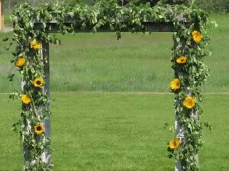 Riverstone Family Lodge